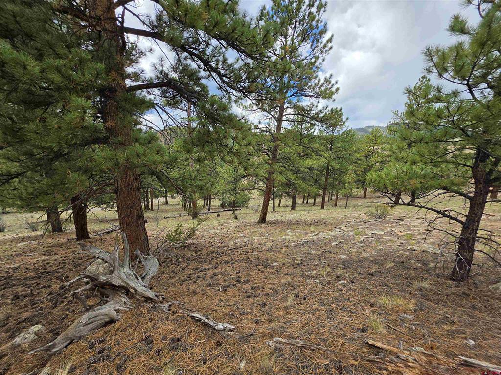 511 Church Creek Drive South Fork CO 81154
