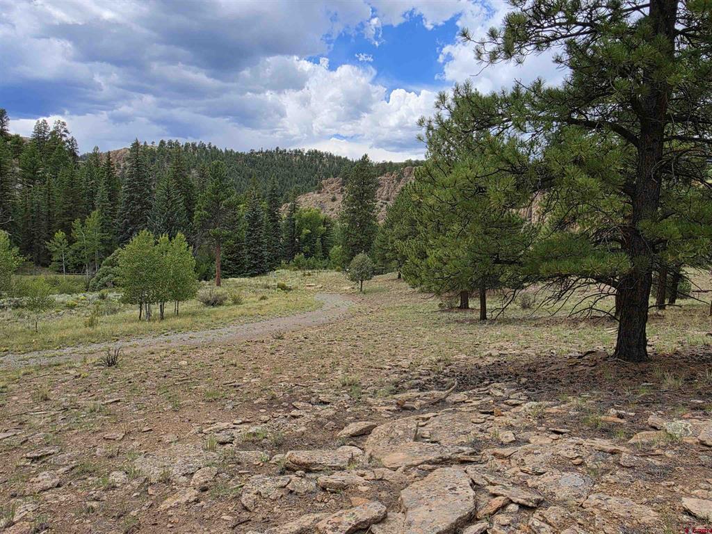 511 Church Creek Drive South Fork CO 81154
