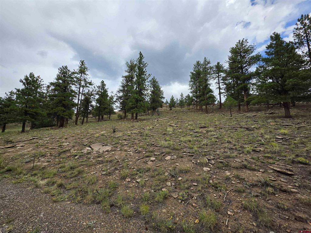 511 Church Creek Drive South Fork CO 81154