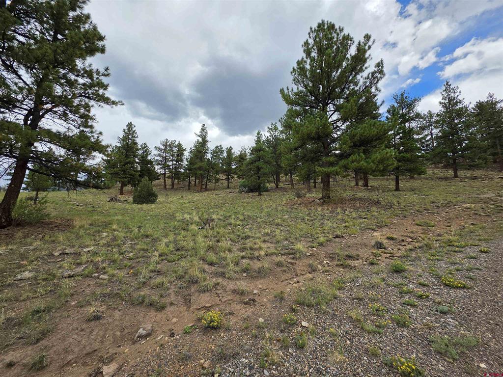 511 Church Creek Drive South Fork CO 81154
