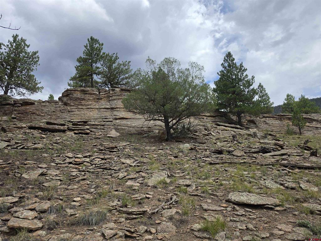 511 Church Creek Drive South Fork CO 81154
