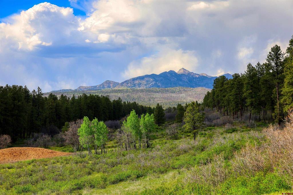 Pagosa Springs CO, 701 Piney