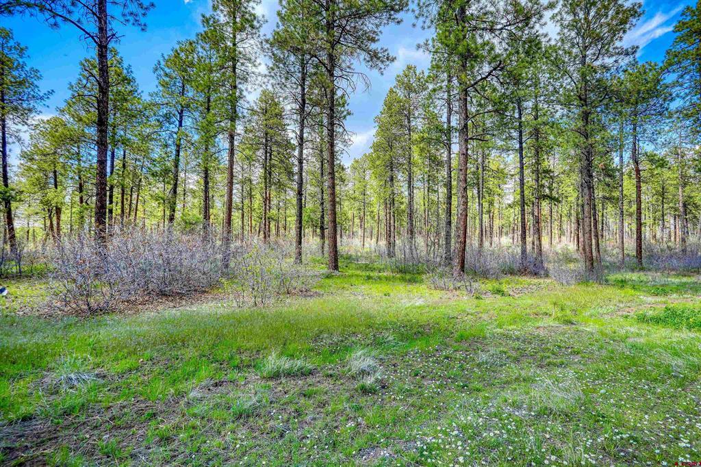 701 Piney Place Pagosa Springs CO 81147