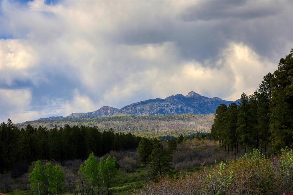 701 Piney Place Pagosa Springs CO 81147