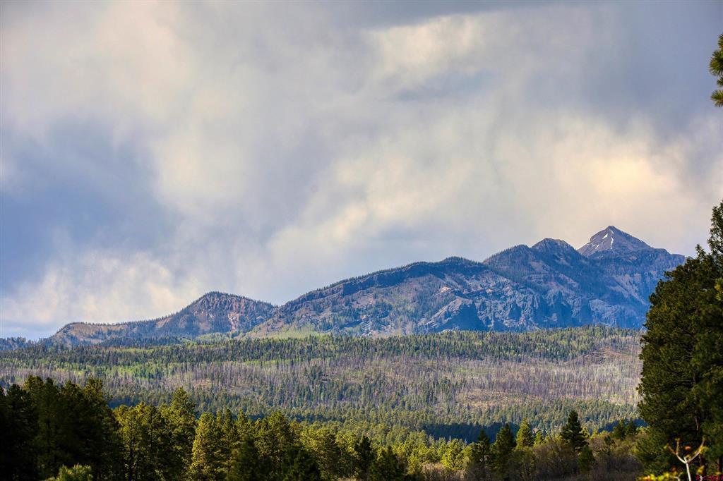 701 Piney Place Pagosa Springs CO 81147