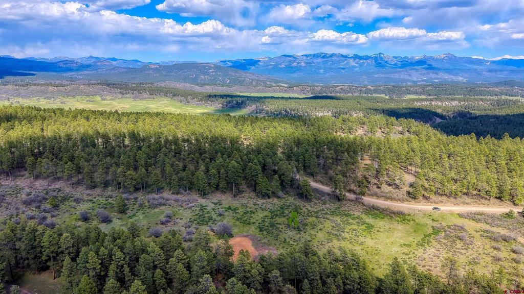 701 Piney Place Pagosa Springs CO 81147