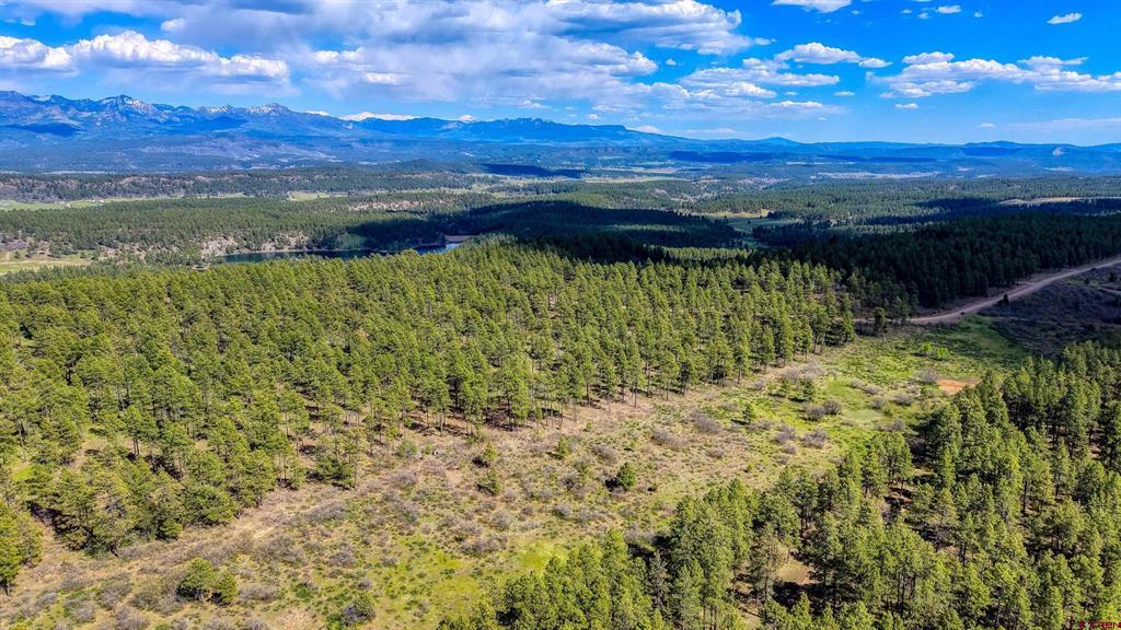 701 Piney Place Pagosa Springs CO 81147