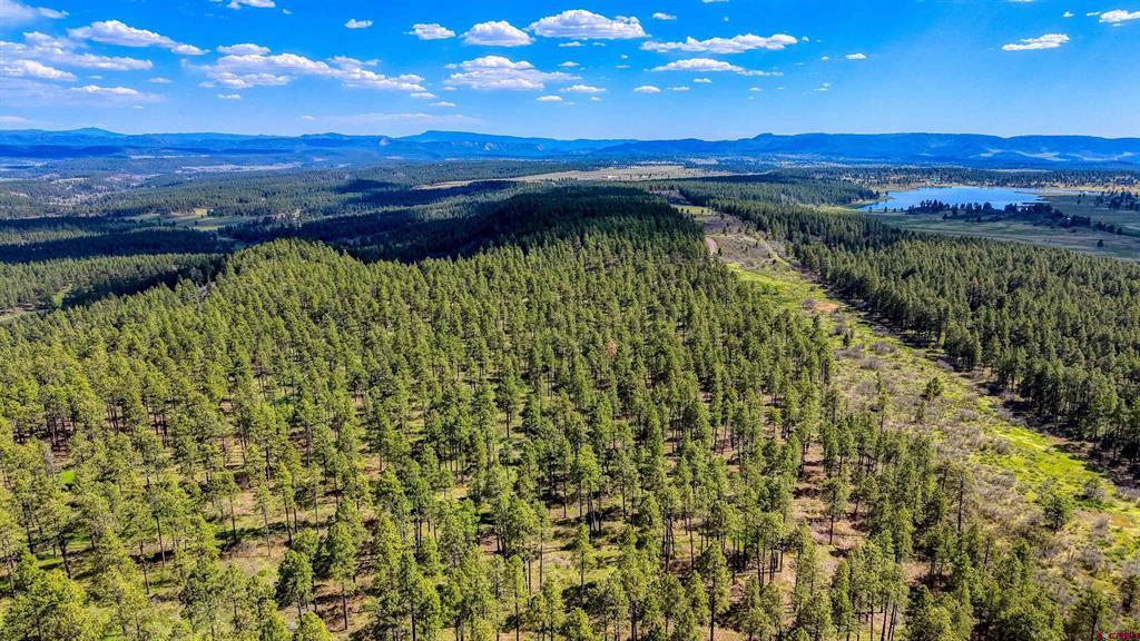 701 Piney Place Pagosa Springs CO 81147