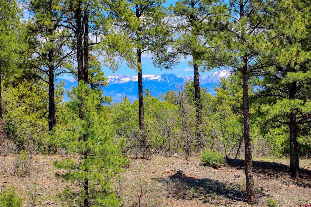 701 Piney Place Pagosa Springs CO 81147