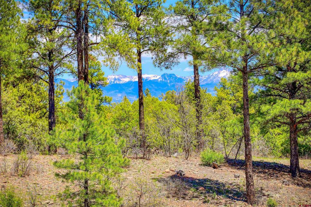701 Piney Place Pagosa Springs CO 81147
