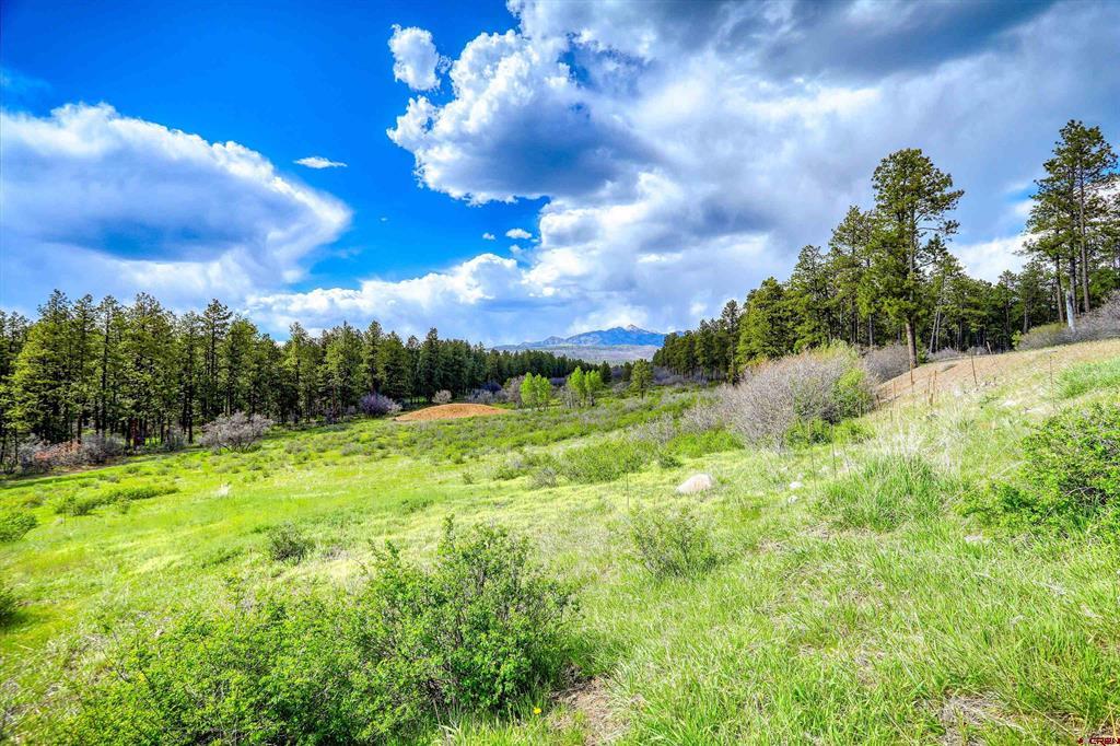 701 Piney Place Pagosa Springs CO 81147