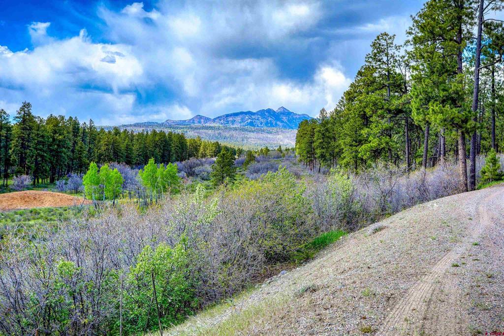 701 Piney Place Pagosa Springs CO 81147
