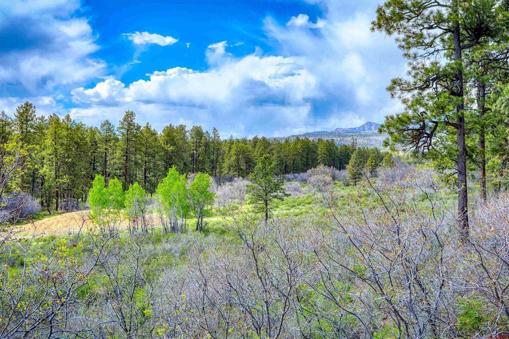 701 Piney Place Pagosa Springs CO 81147