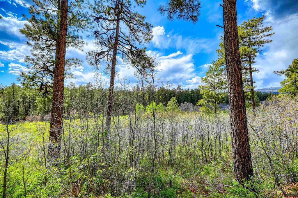 701 Piney Place Pagosa Springs CO 81147