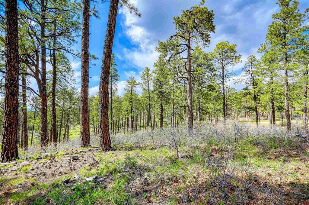 701 Piney Place Pagosa Springs CO 81147