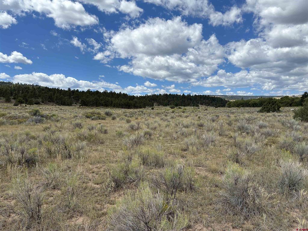 Tbd Conejos River Trails Antonito CO 81120