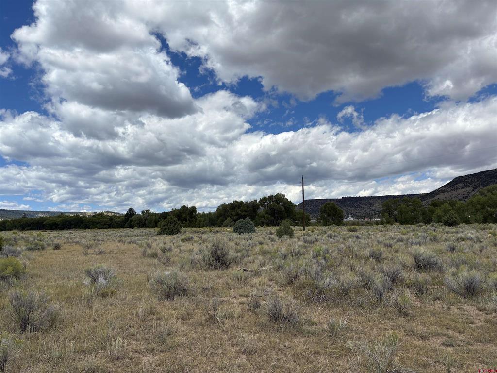 Tbd Conejos River Trails Antonito CO 81120