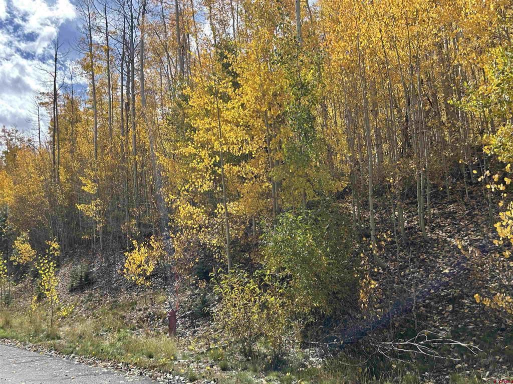 117 Long Story Road Durango CO 81301