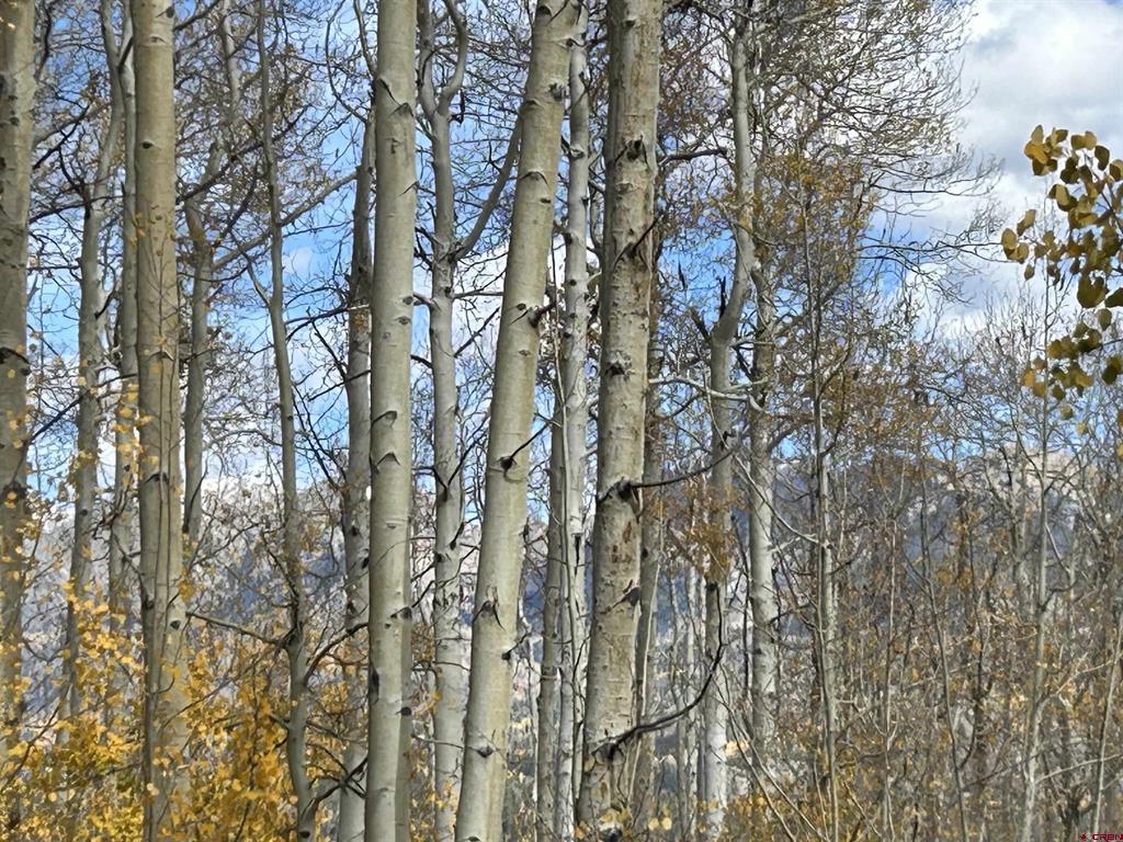 117 Long Story Road Durango CO 81301