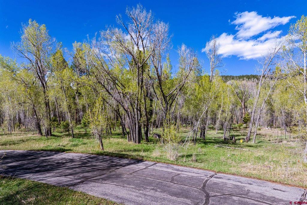 65 Pinestone Drive Bayfield CO 81122