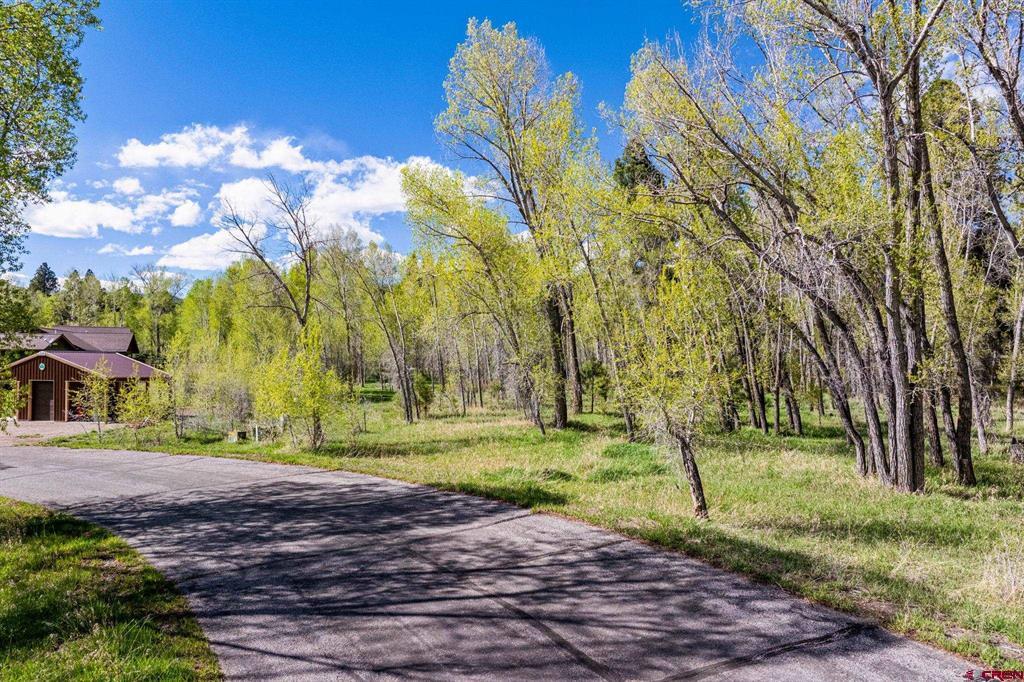 65 Pinestone Drive Bayfield CO 81122