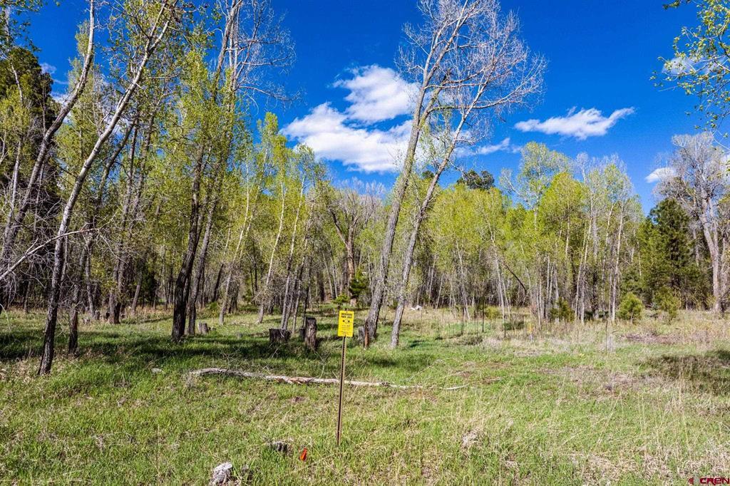 65 Pinestone Drive Bayfield CO 81122