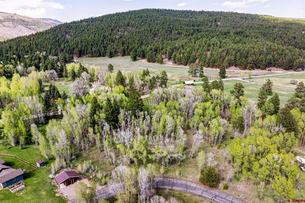 65 Pinestone Drive Bayfield CO 81122