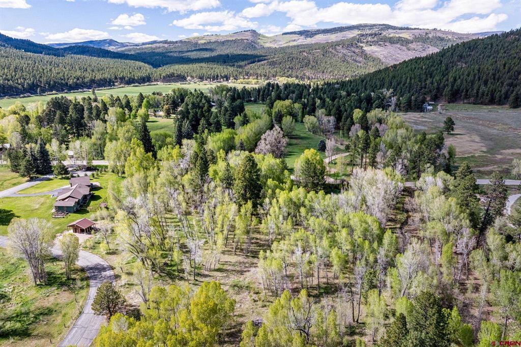 65 Pinestone Drive Bayfield CO 81122