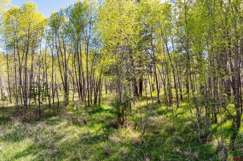 65 Pinestone Drive Bayfield CO 81122