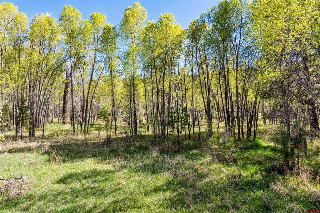 65 Pinestone Drive Bayfield CO 81122