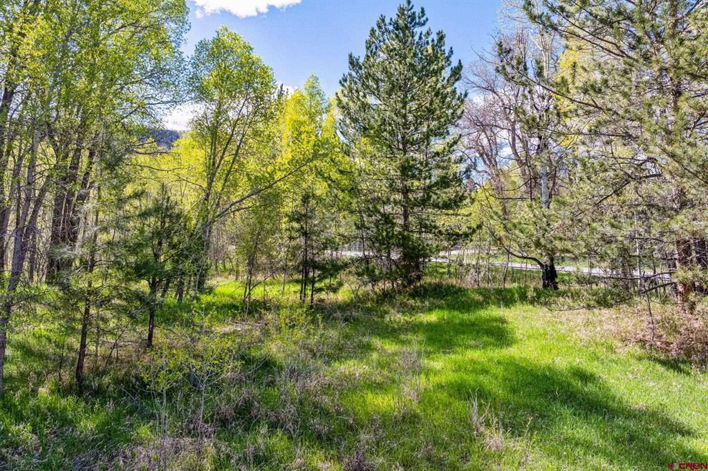 65 Pinestone Drive Bayfield CO 81122