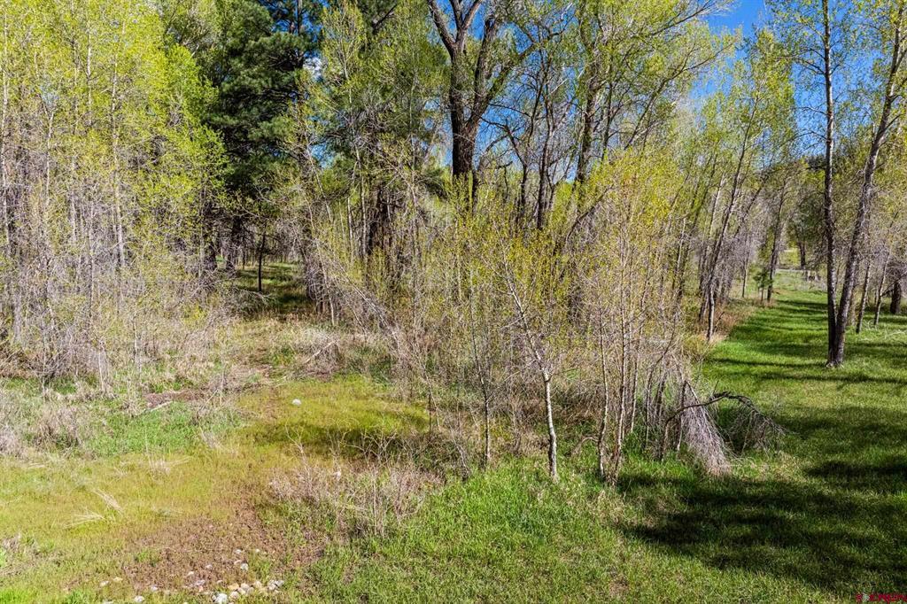 65 Pinestone Drive Bayfield CO 81122