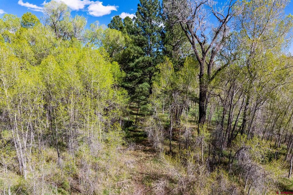 65 Pinestone Drive Bayfield CO 81122