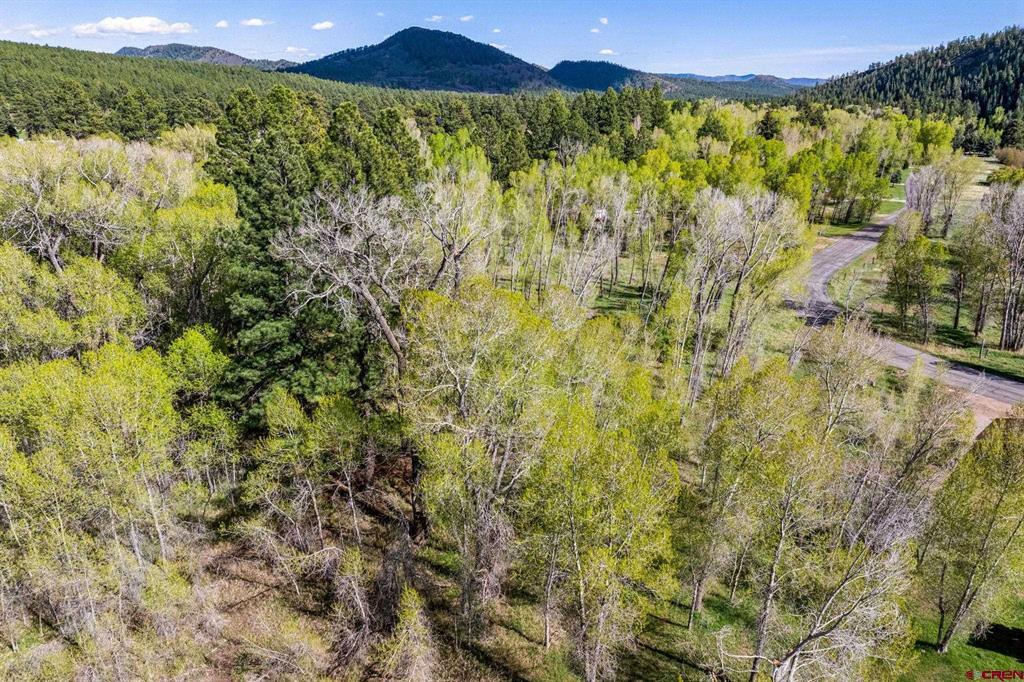 65 Pinestone Drive Bayfield CO 81122