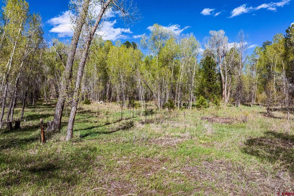 65 Pinestone Drive Bayfield CO 81122