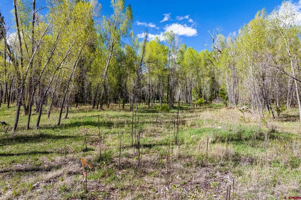 65 Pinestone Drive Bayfield CO 81122