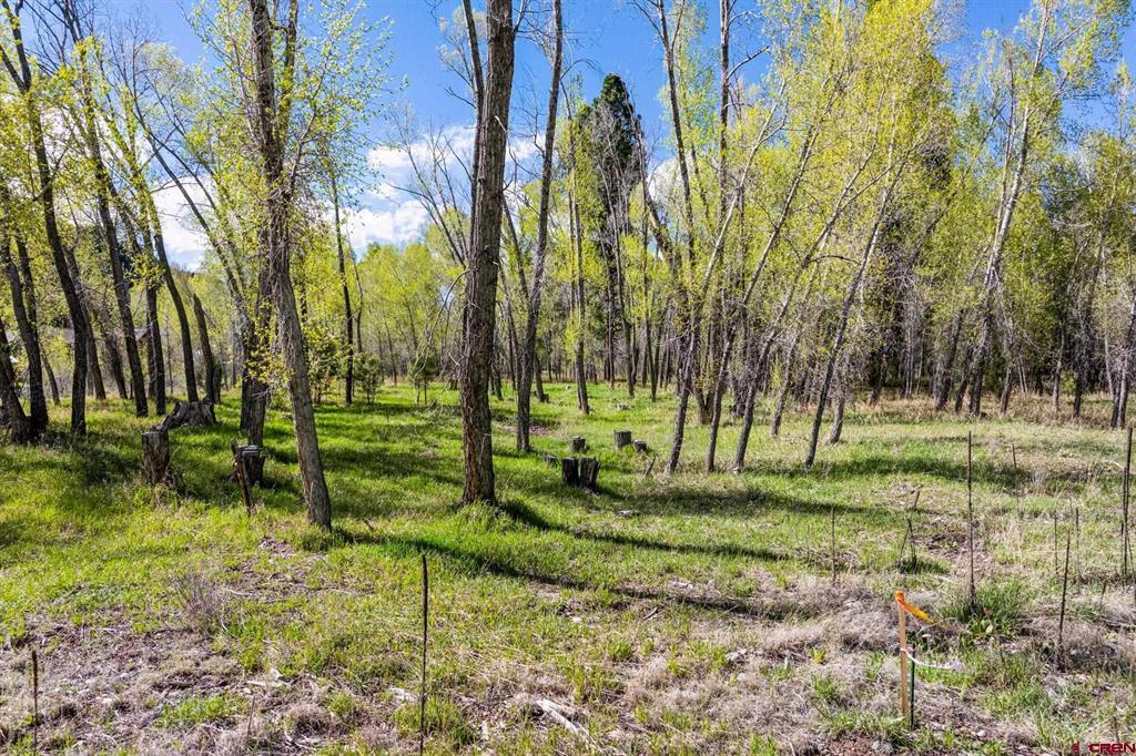 65 Pinestone Drive Bayfield CO 81122