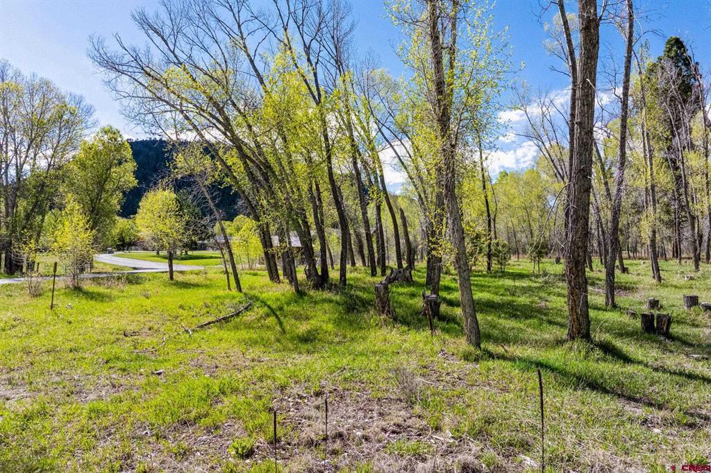 65 Pinestone Drive Bayfield CO 81122