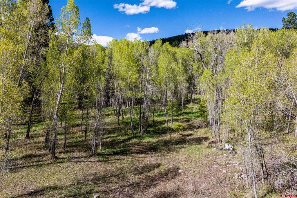 65 Pinestone Drive Bayfield CO 81122