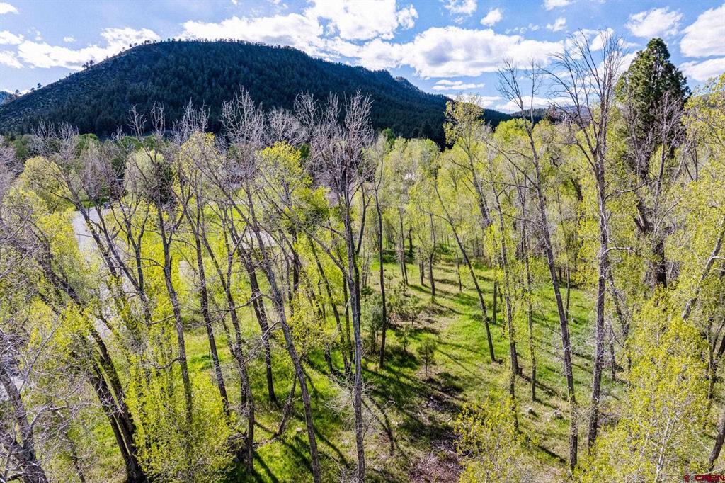 65 Pinestone Drive Bayfield CO 81122