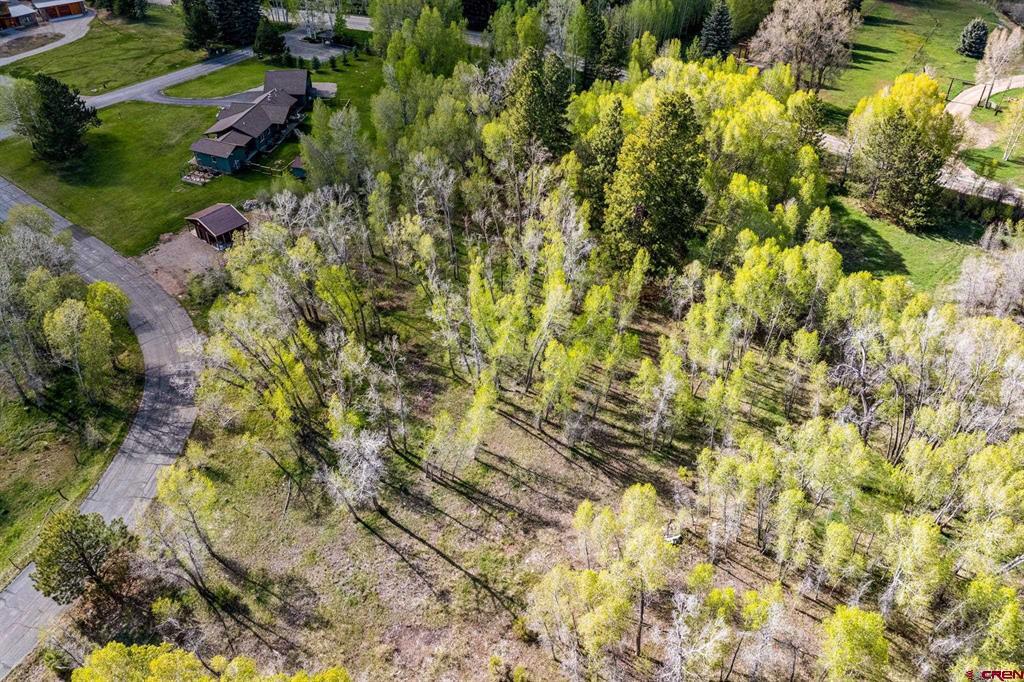 65 Pinestone Drive Bayfield CO 81122