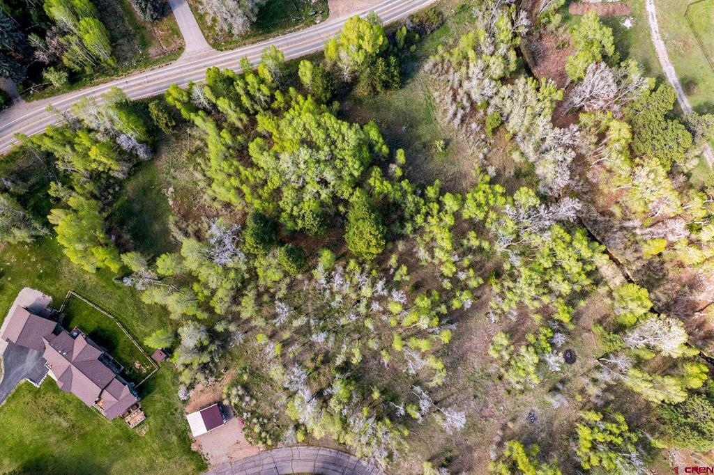 65 Pinestone Drive Bayfield CO 81122