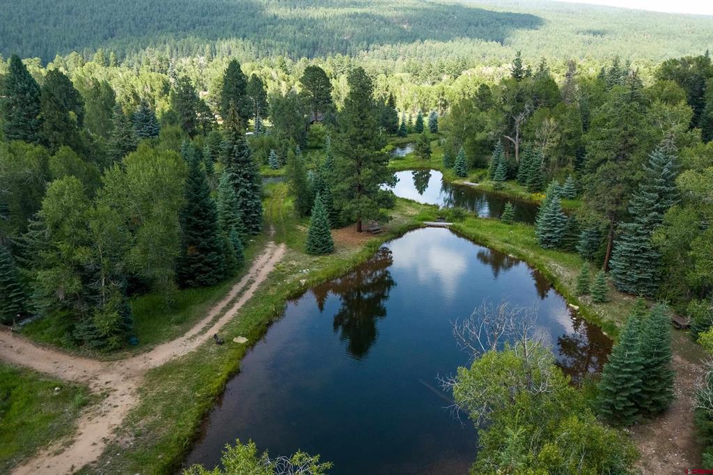 65 Pinestone Drive Bayfield CO 81122