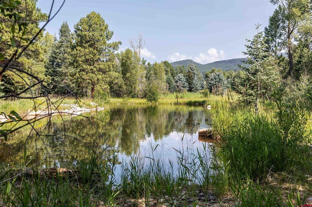 65 Pinestone Drive Bayfield CO 81122