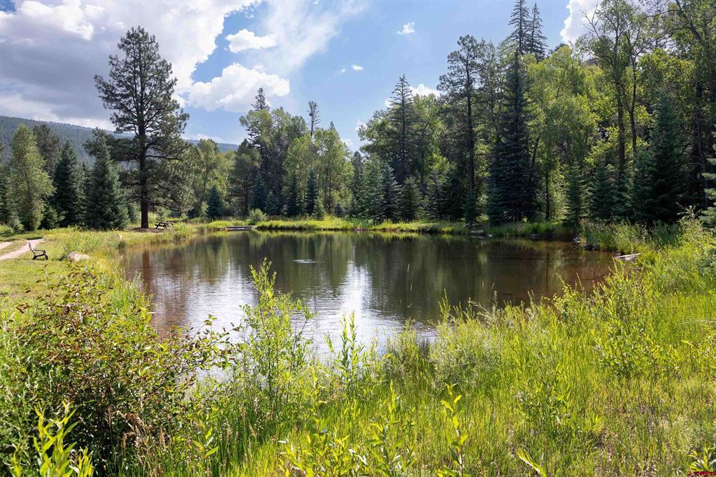 65 Pinestone Drive Bayfield CO 81122