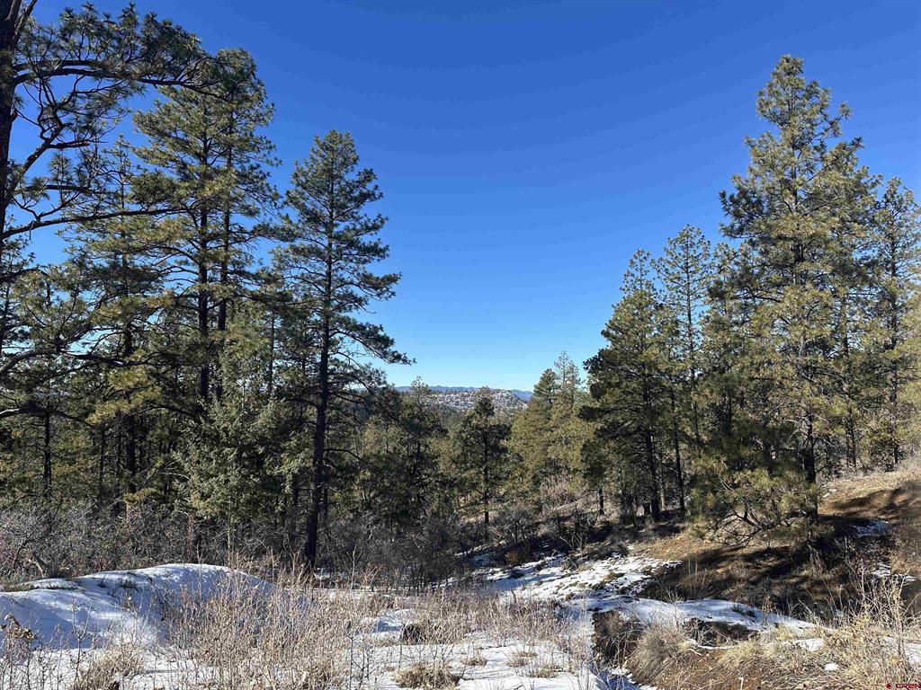 Pagosa Springs CO, 1742 West View