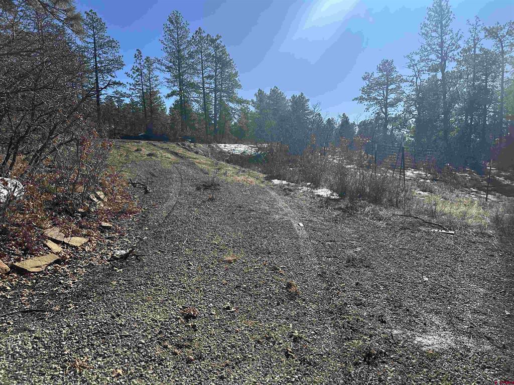 1742 West View Road Pagosa Springs CO 81147