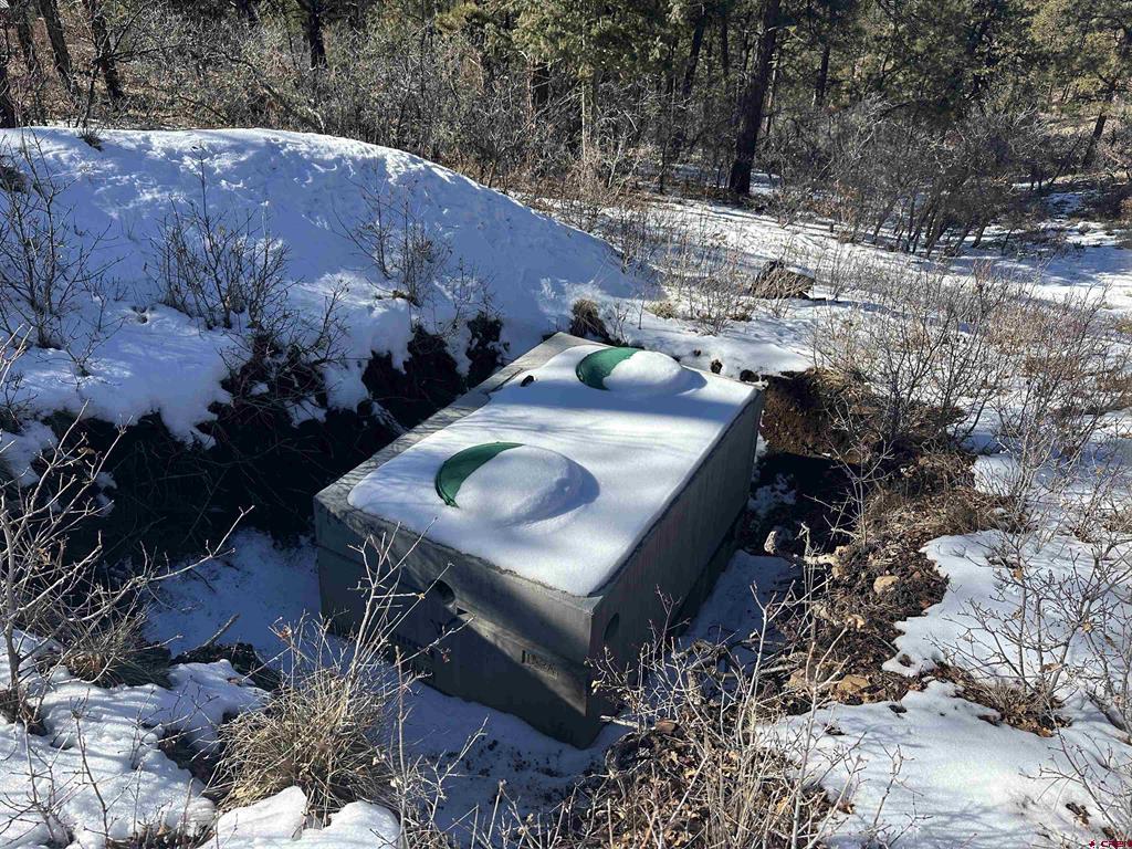 1742 West View Road Pagosa Springs CO 81147