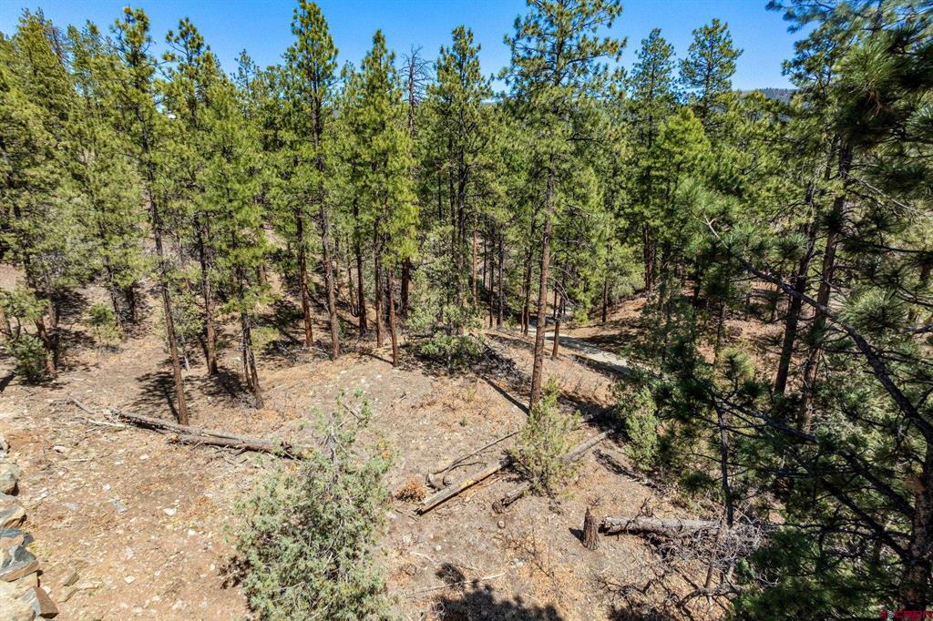 91 Ambush Canyon Durango CO 81301