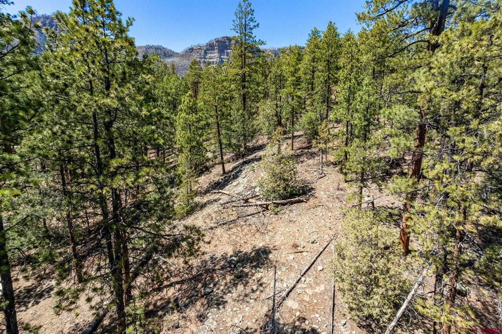 91 Ambush Canyon Durango CO 81301